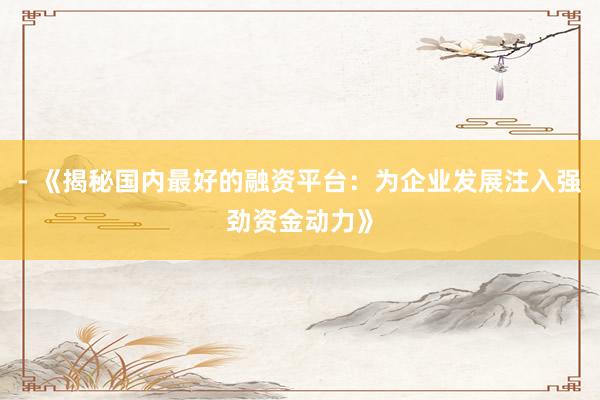 - 《揭秘国内最好的融资平台：为企业发展注入强劲资金动力》