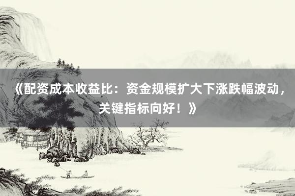 《配资成本收益比：资金规模扩大下涨跌幅波动，关键指标向好！》