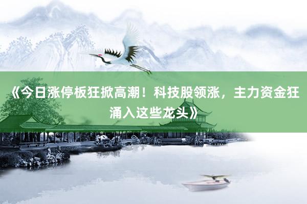 《今日涨停板狂掀高潮！科技股领涨，主力资金狂涌入这些龙头》