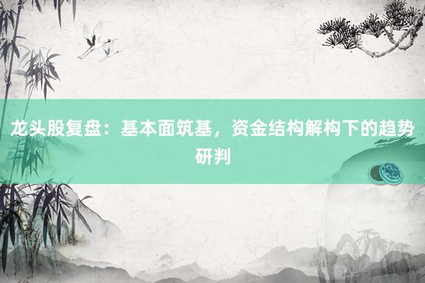 龙头股复盘：基本面筑基，资金结构解构下的趋势研判