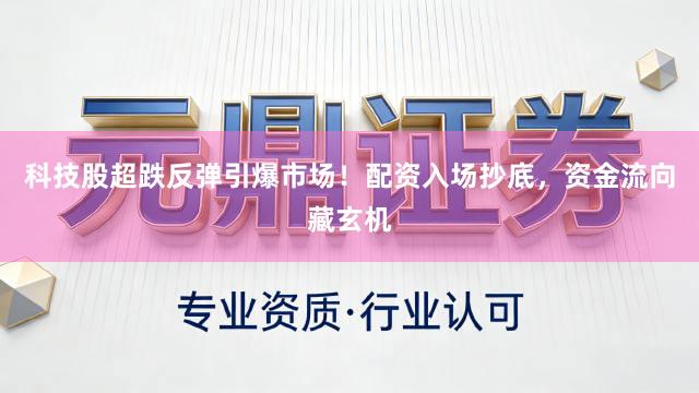 科技股超跌反弹引爆市场！配资入场抄底，资金流向藏玄机