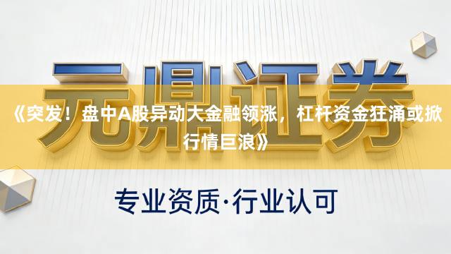 《突发！盘中A股异动大金融领涨，杠杆资金狂涌或掀行情巨浪》