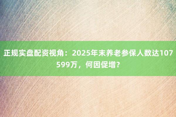 正规实盘配资视角：2025年末养老参保人数达107599万，何因促增？