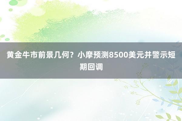 黄金牛市前景几何？小摩预测8500美元并警示短期回调