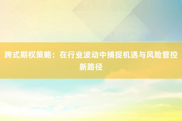 跨式期权策略：在行业波动中捕捉机遇与风险管控新路径