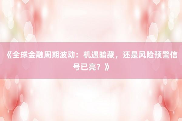 《全球金融周期波动：机遇暗藏，还是风险预警信号已亮？》