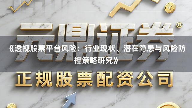 《透视股票平台风险：行业现状、潜在隐患与风险防控策略研究》