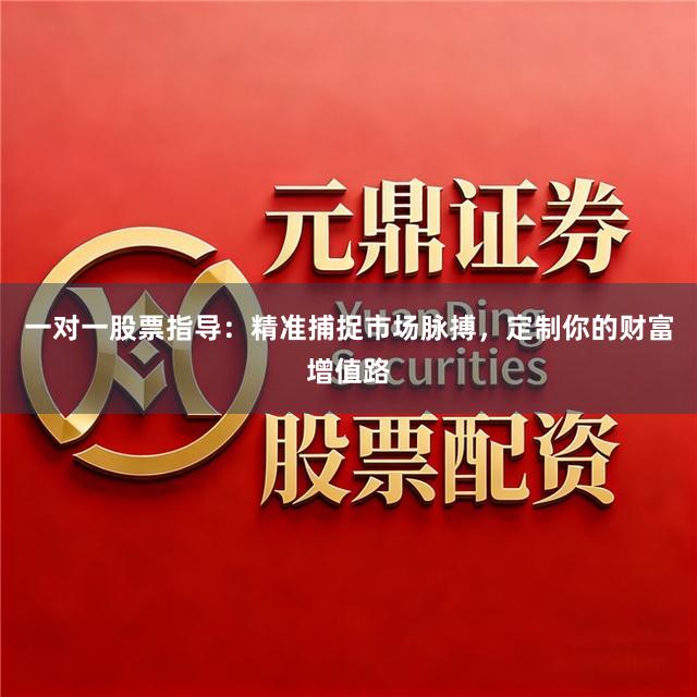 一对一股票指导：精准捕捉市场脉搏，定制你的财富增值路