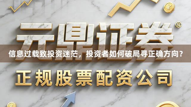 信息过载致投资迷茫，投资者如何破局寻正确方向？