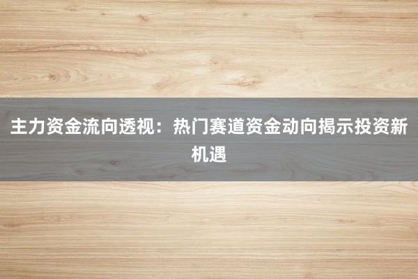 主力资金流向透视：热门赛道资金动向揭示投资新机遇