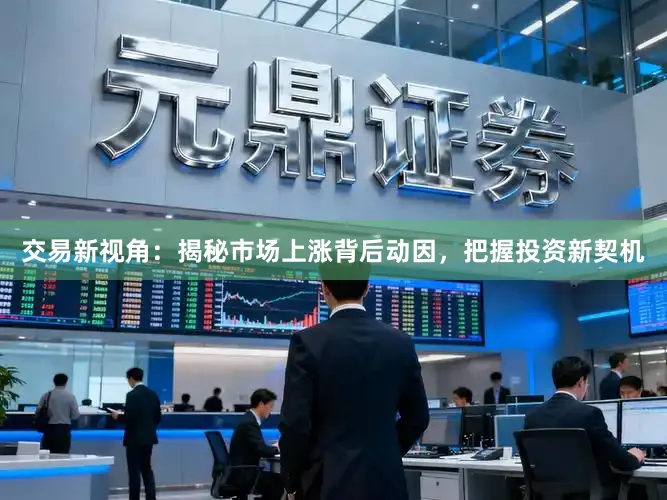 交易新视角：揭秘市场上涨背后动因，把握投资新契机
