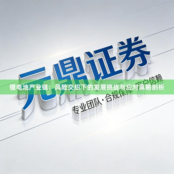 锂电池产业链：风险交织下的发展挑战与应对策略剖析