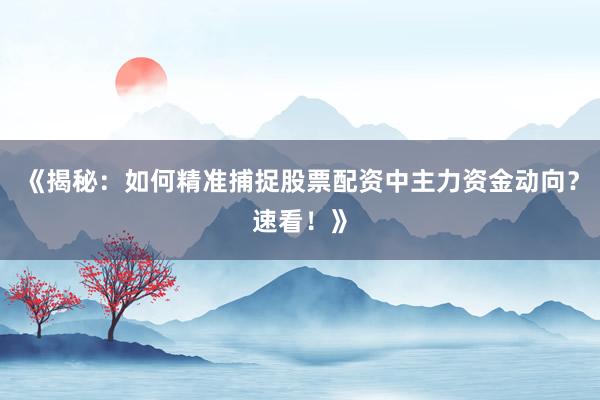 《揭秘:如何精准捕捉股票配资中主力资金动向?速看!》