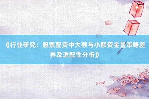 《行业研究：股票配资中大额与小额资金量策略差异及适配性分析》