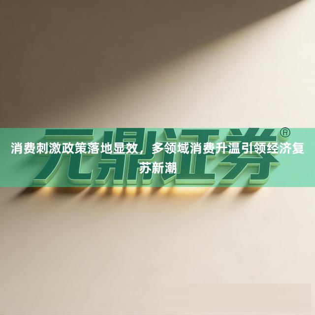 消费刺激政策落地显效，多领域消费升温引领经济复苏新潮