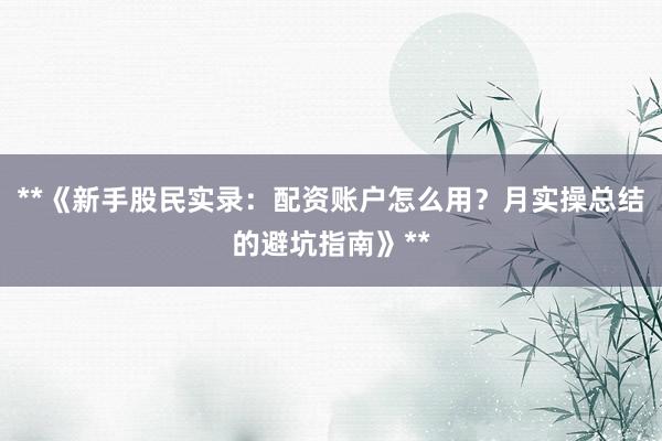 **《新手股民实录：配资账户怎么用？月实操总结的避坑指南》**