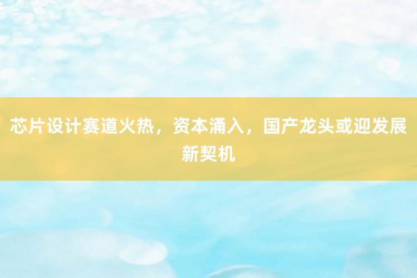 芯片设计赛道火热，资本涌入，国产龙头或迎发展新契机