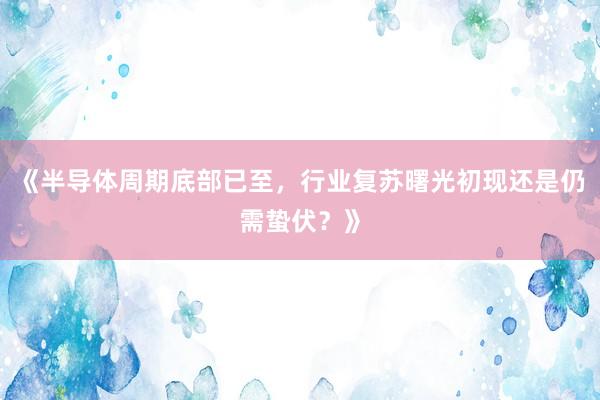 《半导体周期底部已至，行业复苏曙光初现还是仍需蛰伏？》