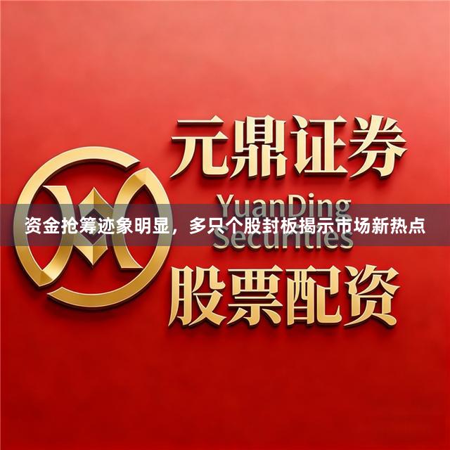 资金抢筹迹象明显，多只个股封板揭示市场新热点